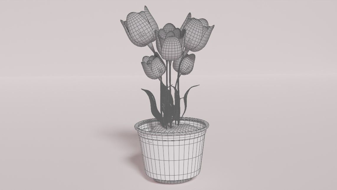 Tulip in Pot 3D Model Free 3D model_1