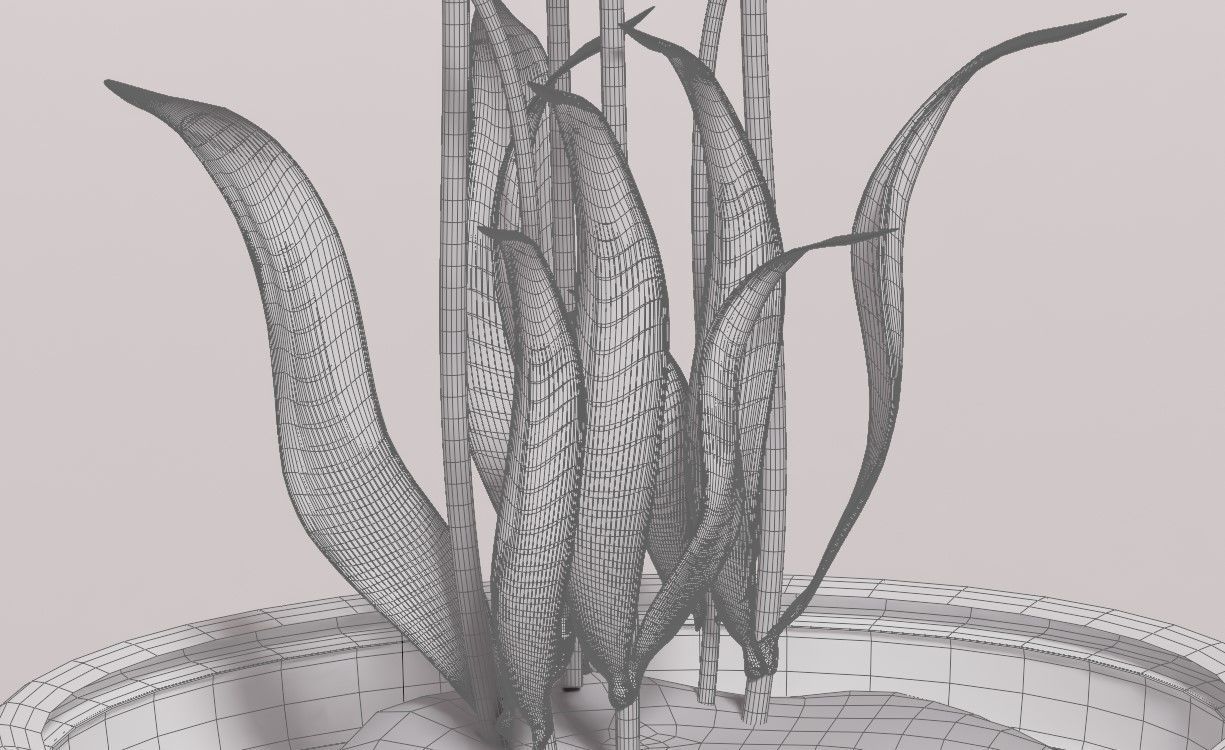 Tulip in Pot 3D Model Free 3D model_5