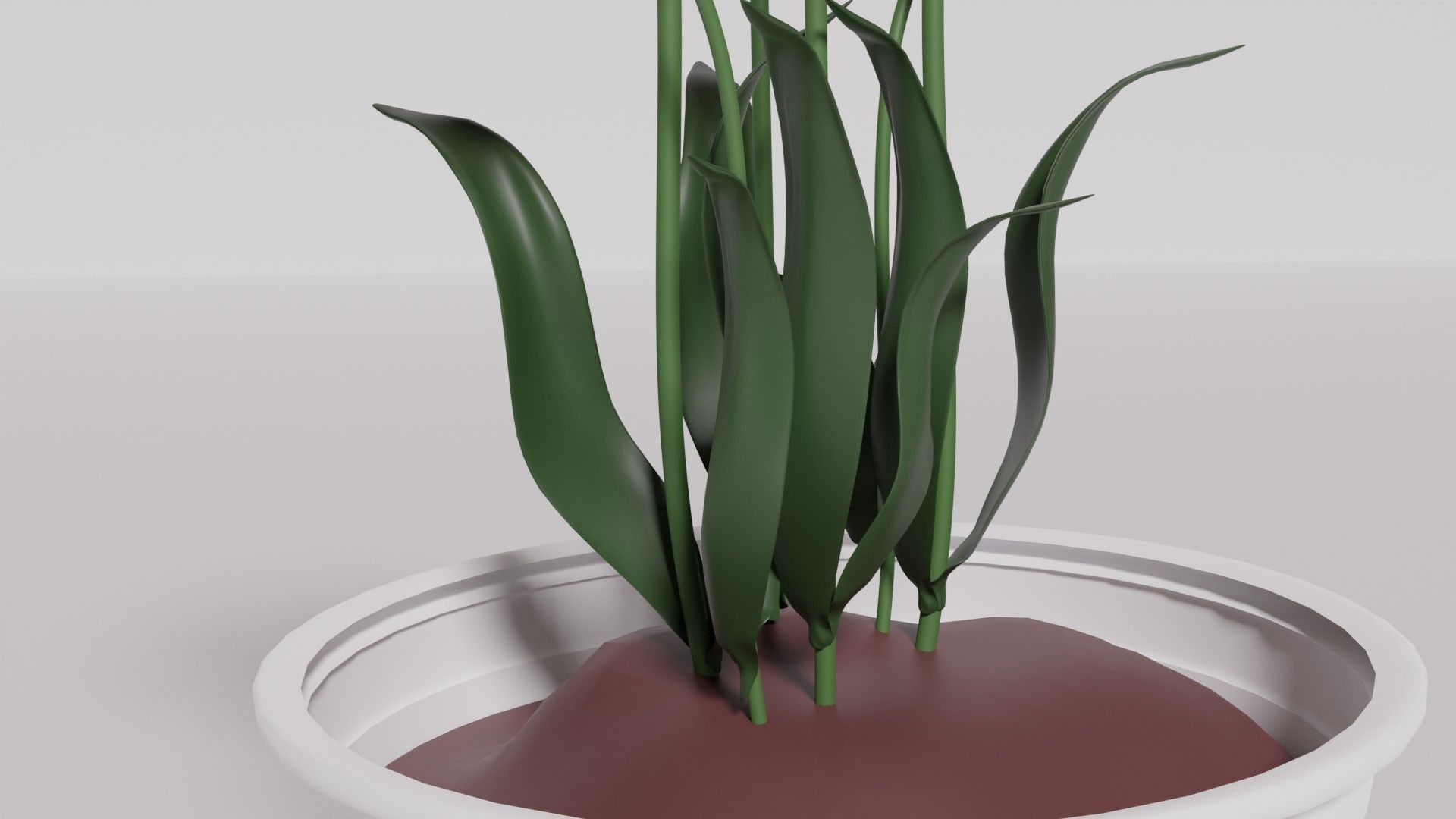 Tulip in Pot 3D Model Free 3D model_4