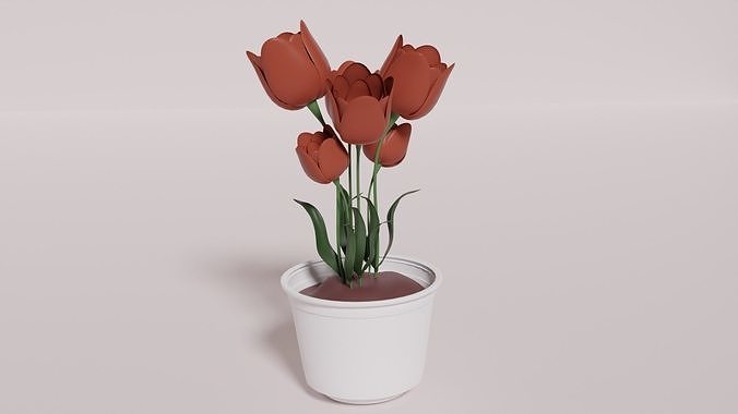 Tulip in Pot 3D Model Free 3D model
