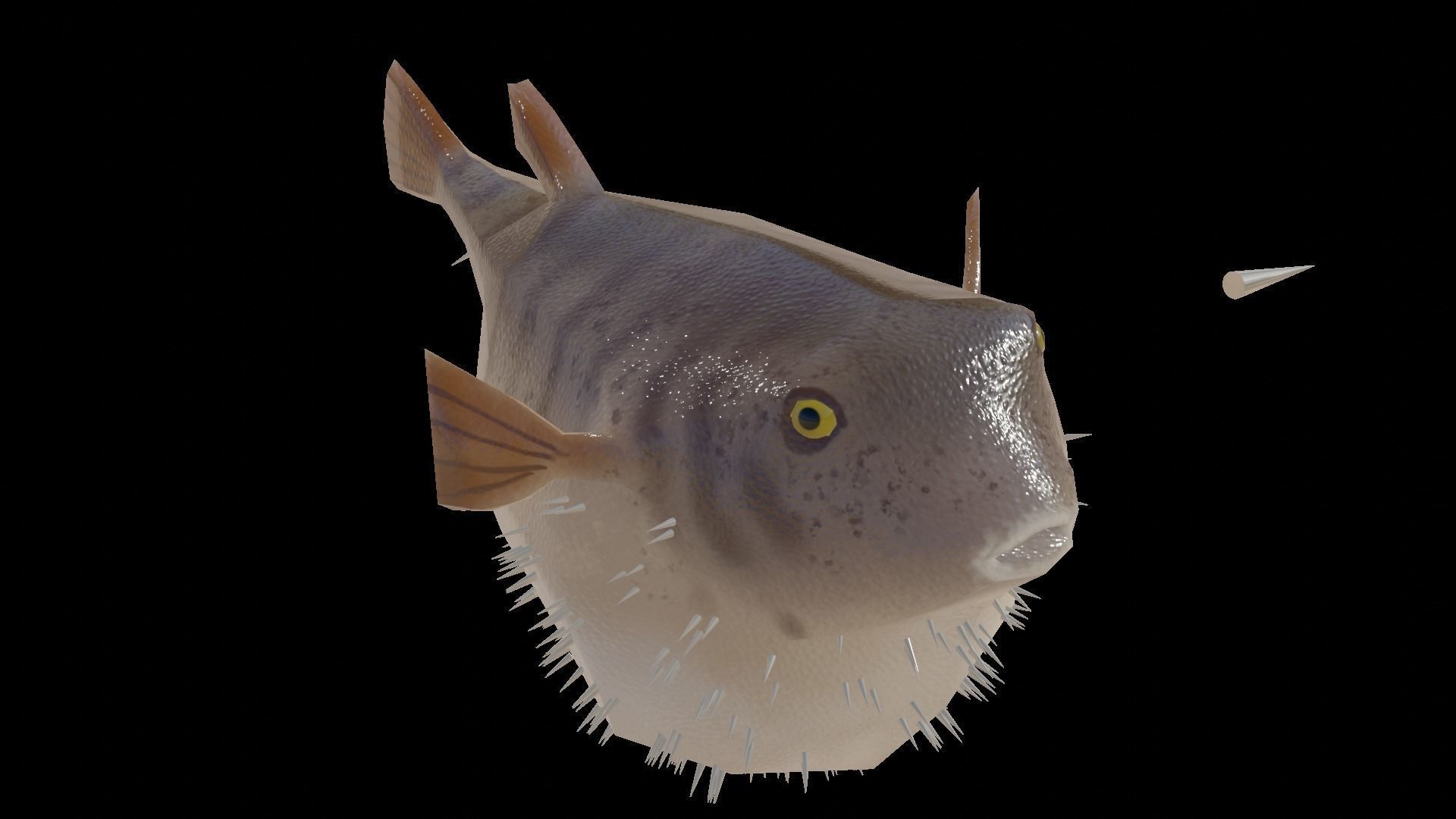 Low Poly Puffer Fish 3D model Low-poly 3D model_6