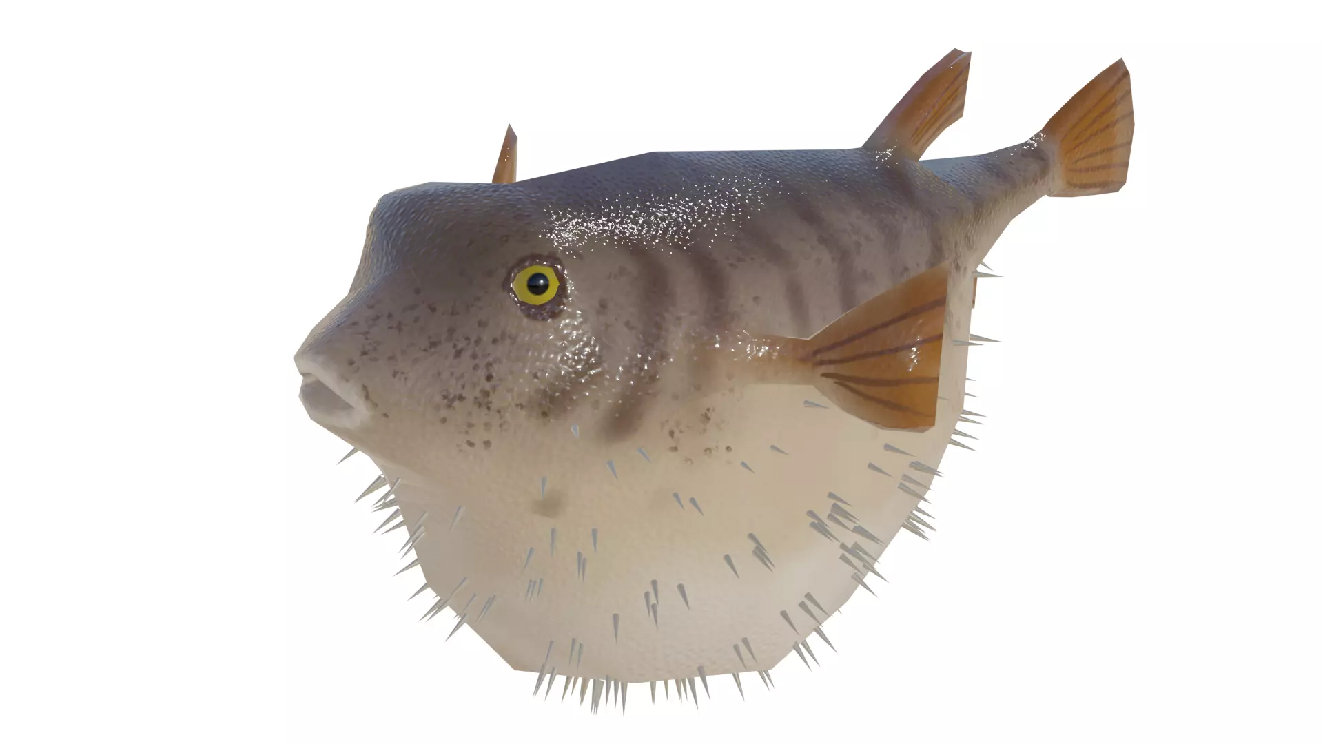 Low Poly Puffer Fish 3D model Low-poly 3D model_0