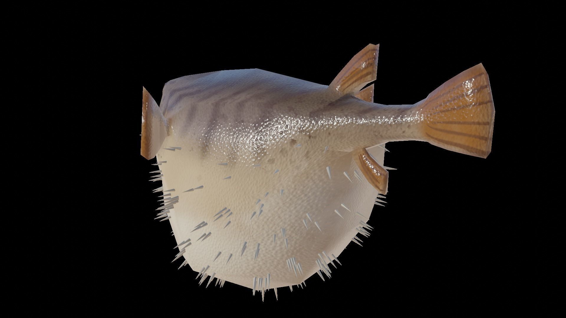 Low Poly Puffer Fish 3D model Low-poly 3D model_3