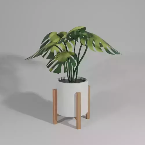 monstera spotted leaves 3D model blender