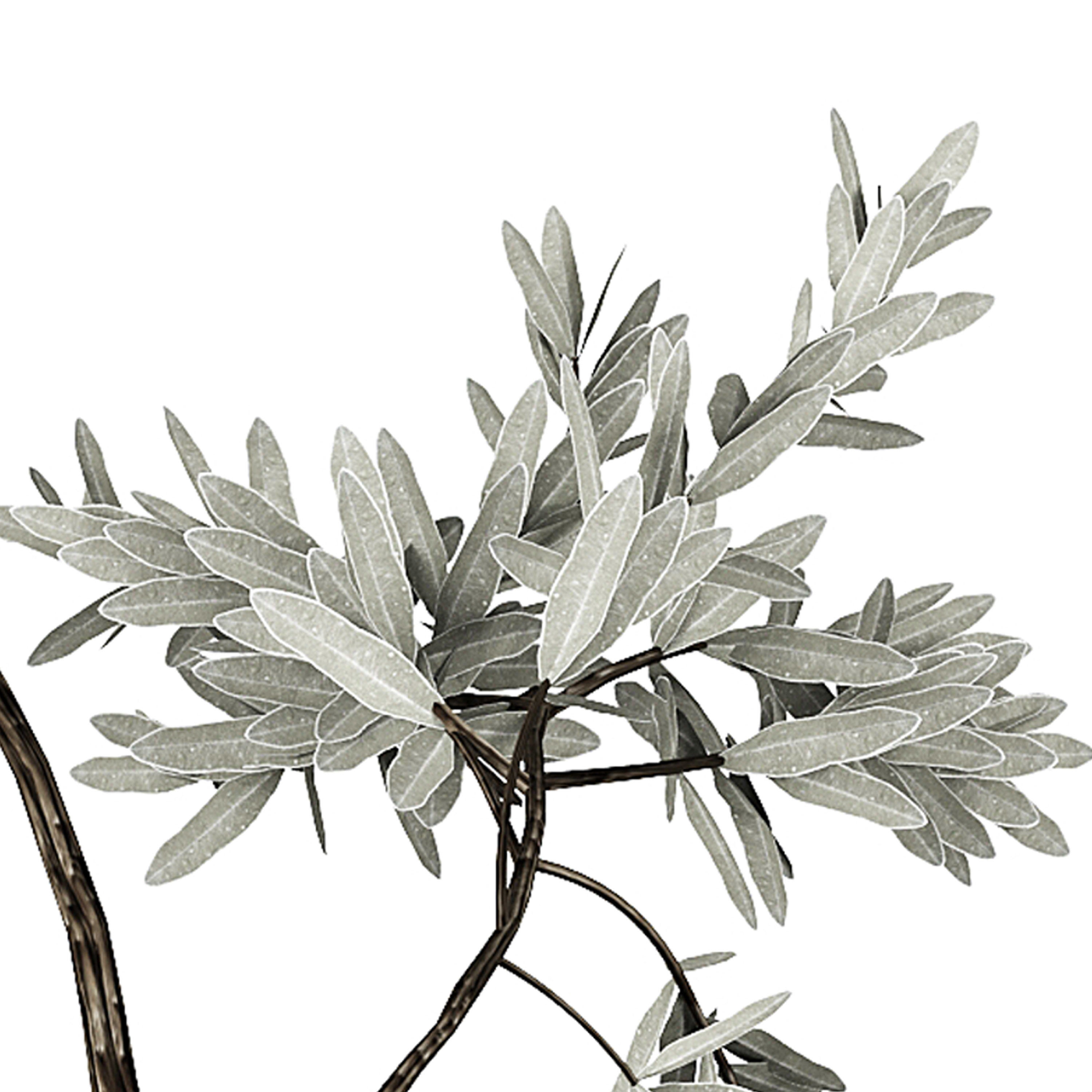 FLOWER PACK 202C 3D model_4