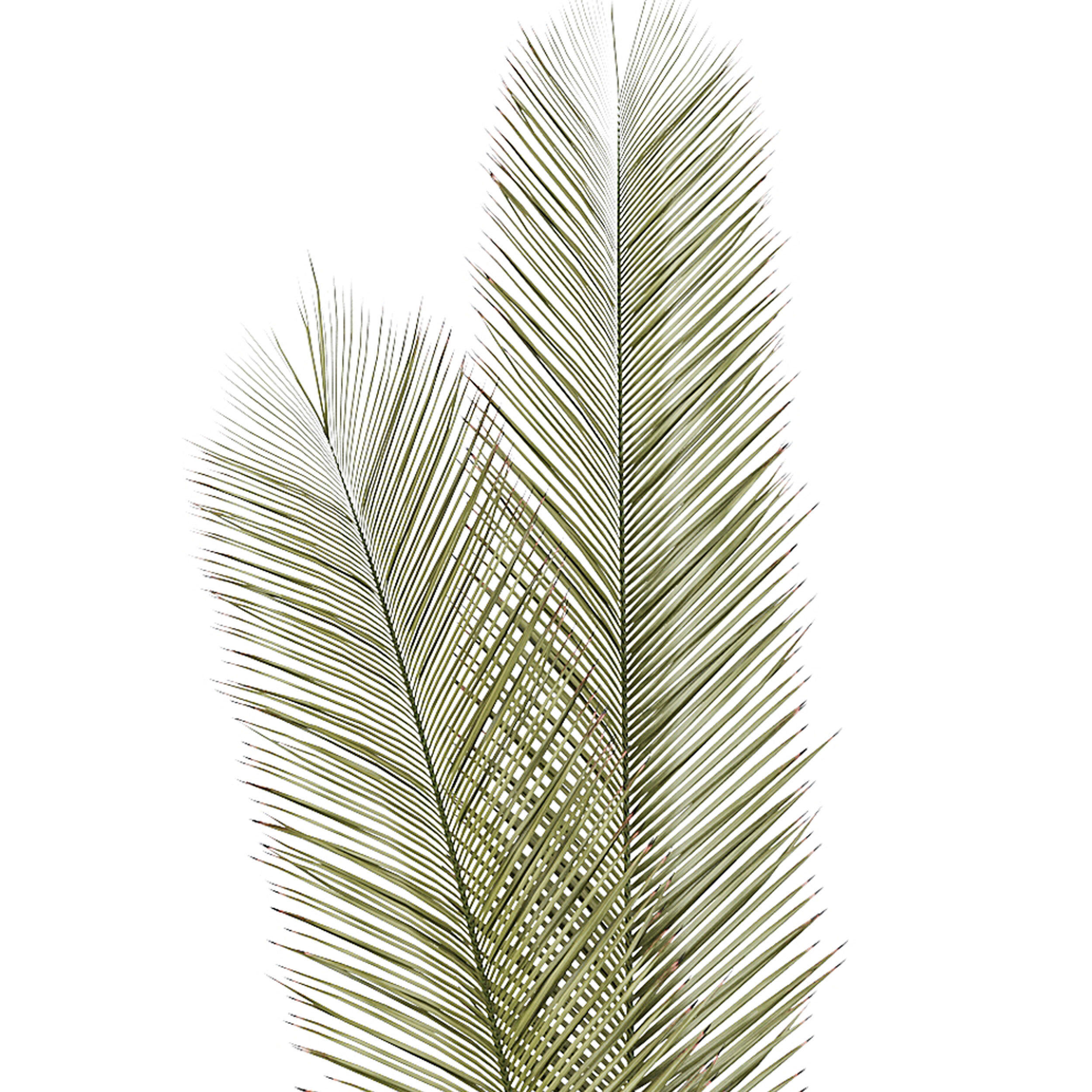 FLOWER PACK 204C 3D model_2