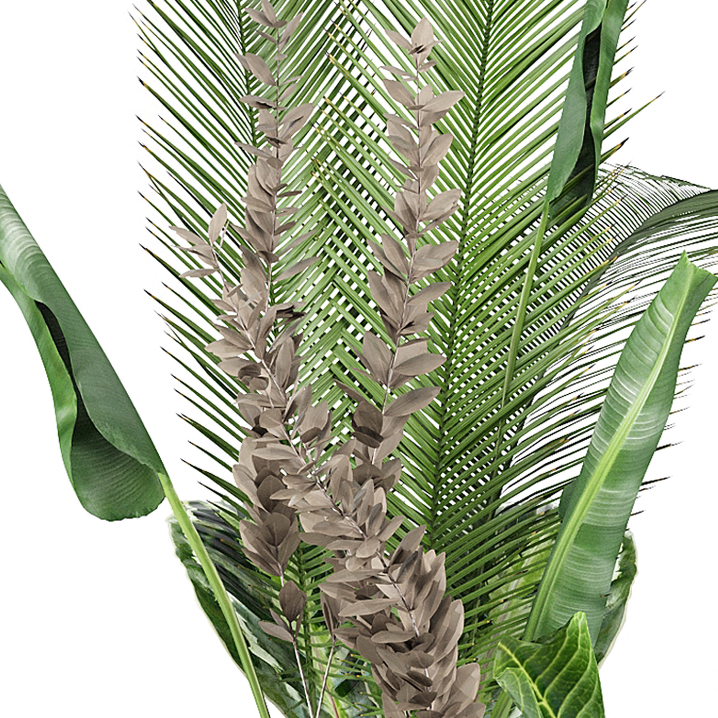 FLOWER PACK 205C 3D model_3