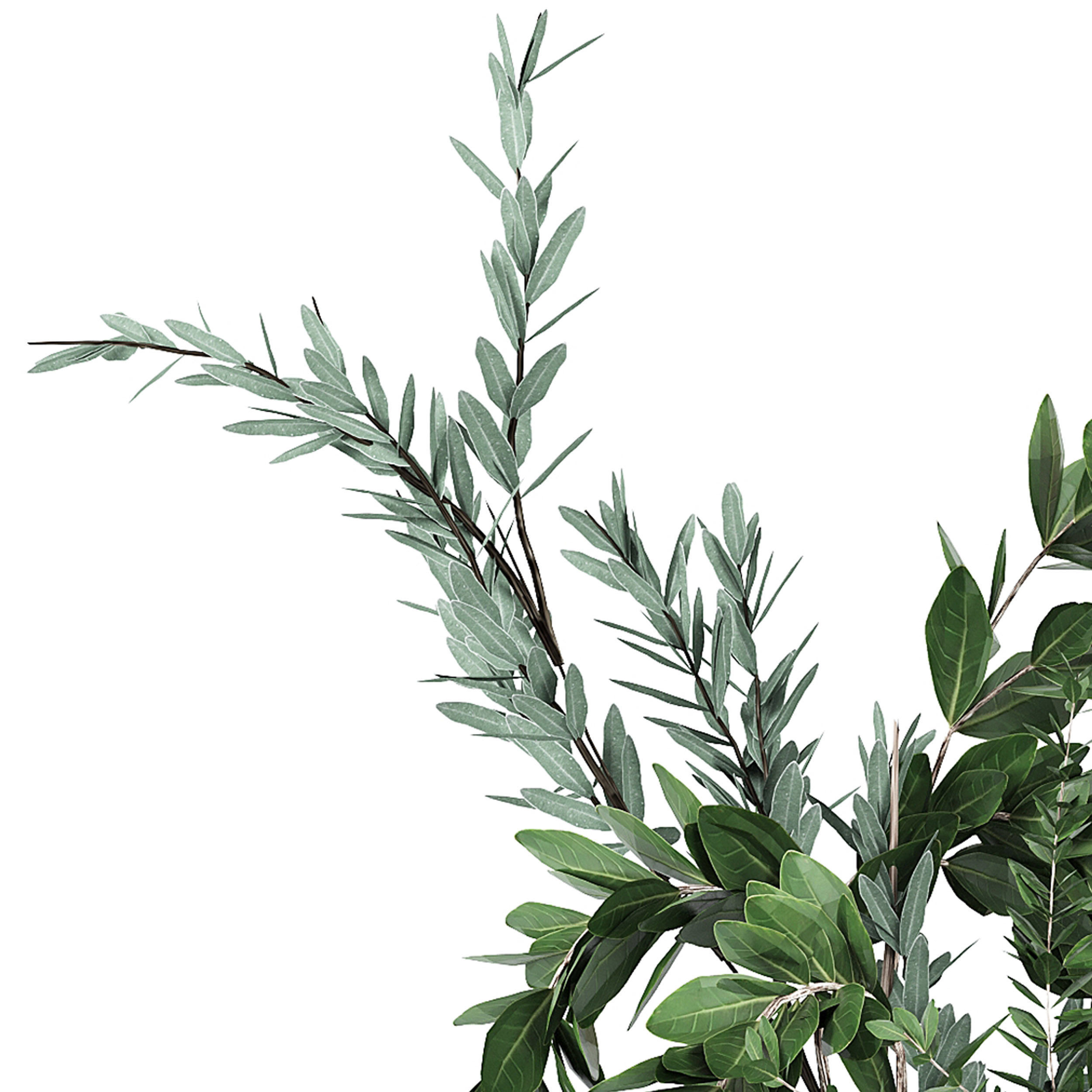 FLOWER PACK 206C 3D model_3