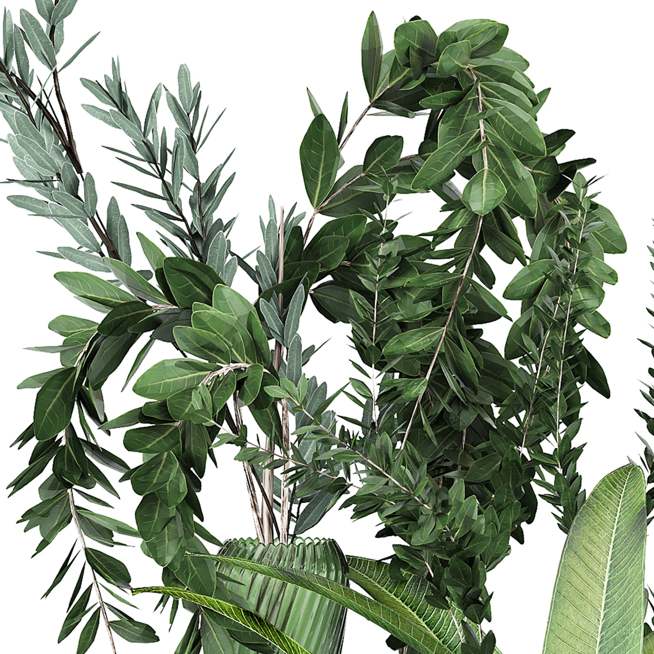 FLOWER PACK 206C 3D model_4