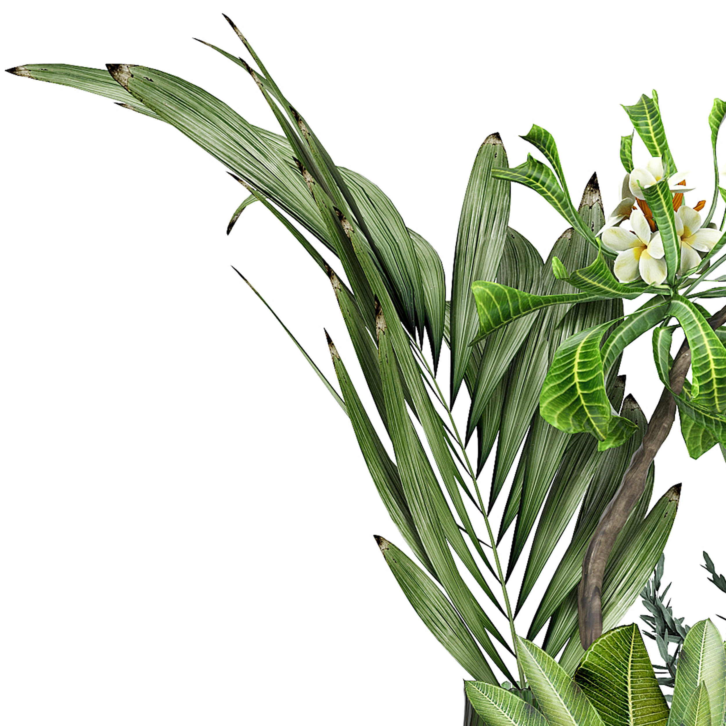 FLOWER PACK 207C 3D model_1