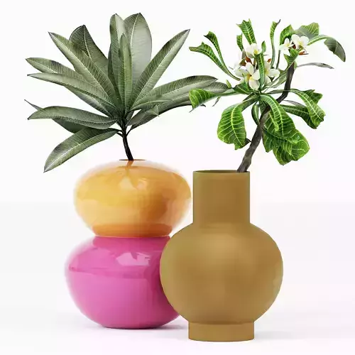 FLOWER PACK 212C 3D model