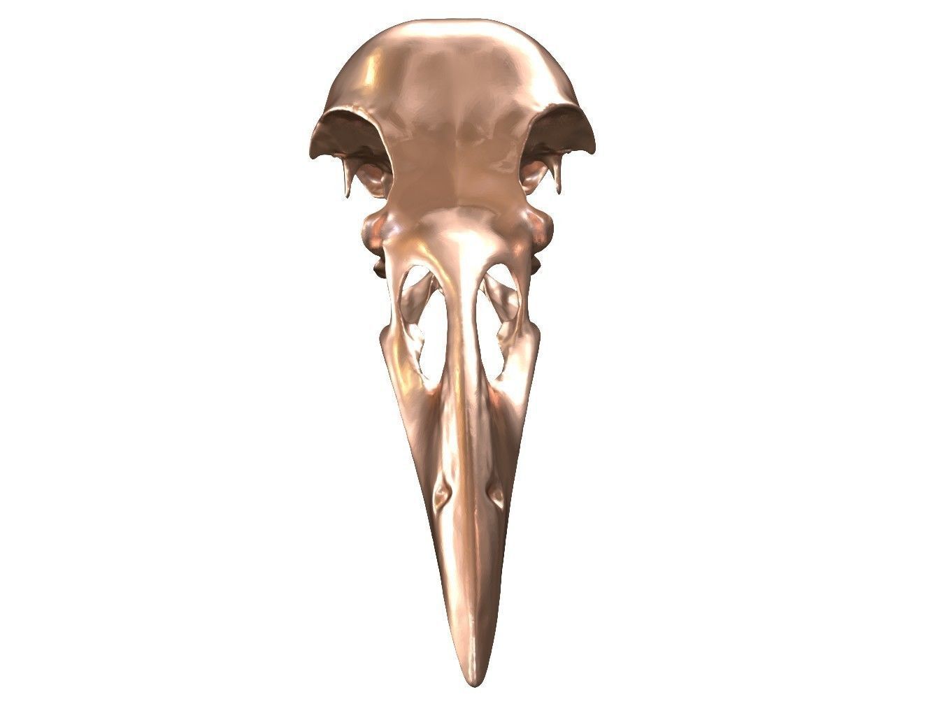 Cranium Charm Raven Bronze 3D print model_7