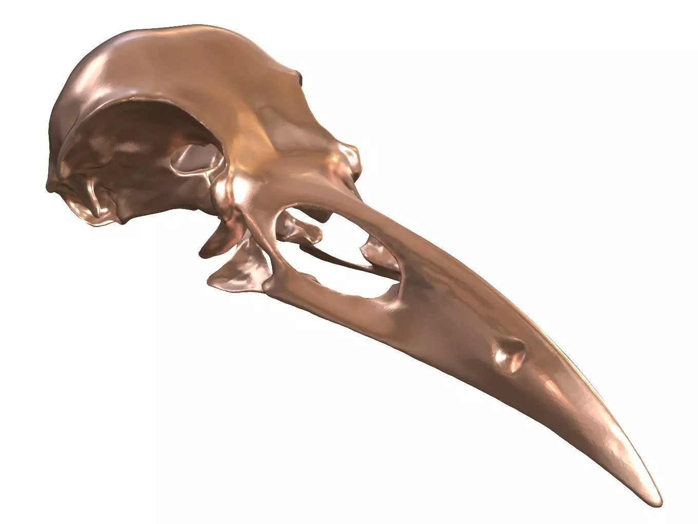 Cranium Charm Raven Bronze 3D print model_0