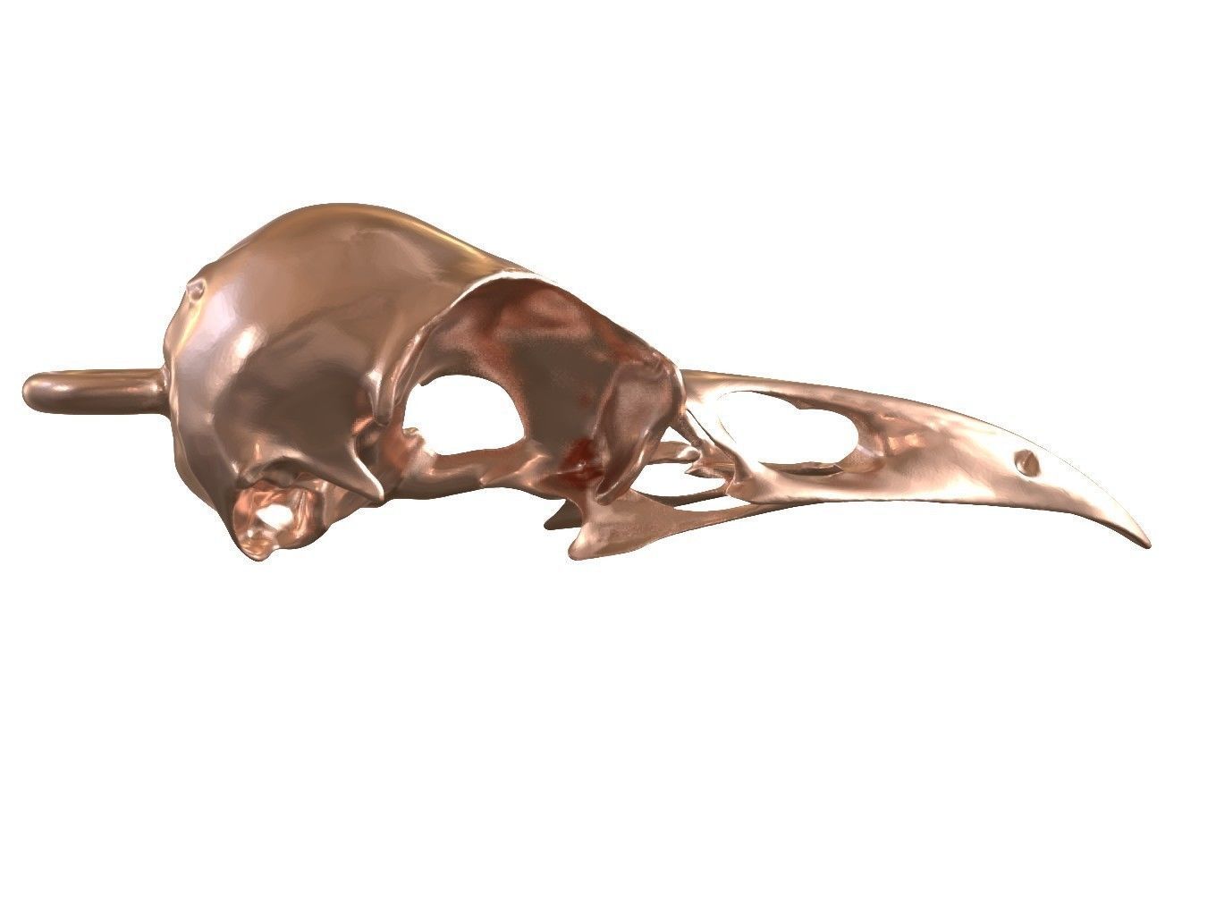 Cranium Charm Raven Bronze 3D print model_1