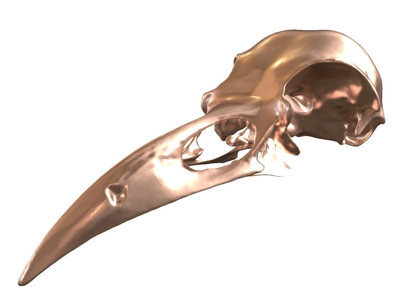 Cranium Charm Raven Bronze 3D print model_6