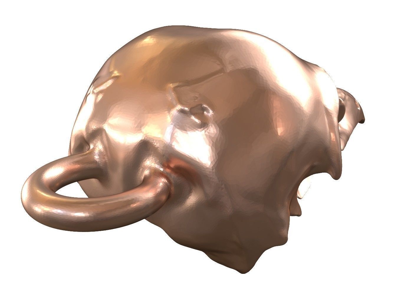 Cranium Charm Raven Bronze 3D print model_3