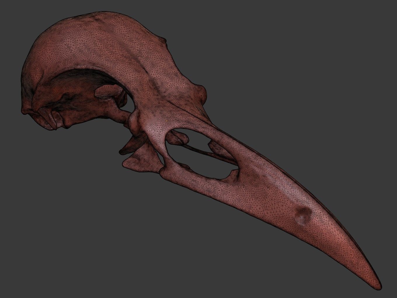 Cranium Charm Raven Bronze 3D print model_11