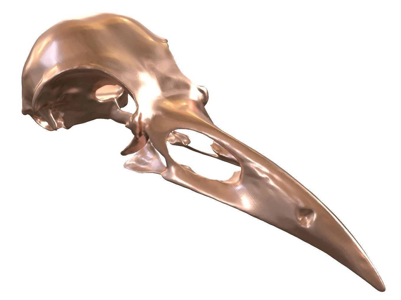 Cranium Charm Raven Bronze 3D print model_8