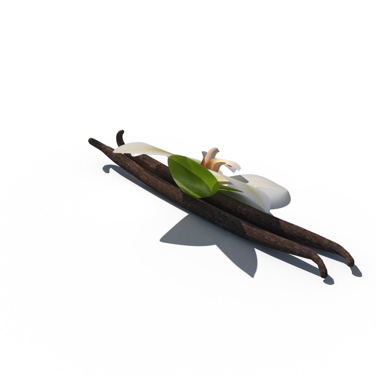 Vanilla Flower 3D model_10