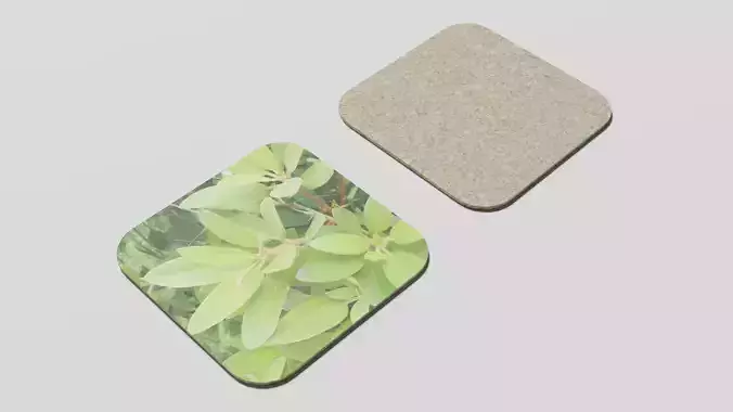 Coaster leaves on square