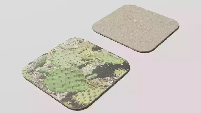 Coaster cactus coasters