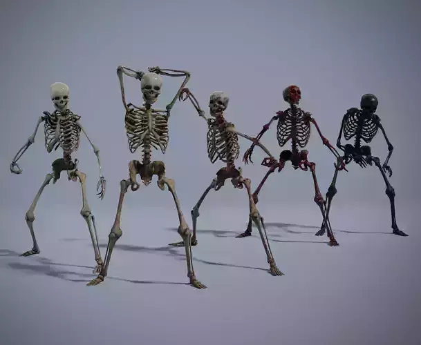 Lowpoly Male Human Skeleton Low-poly 3D model