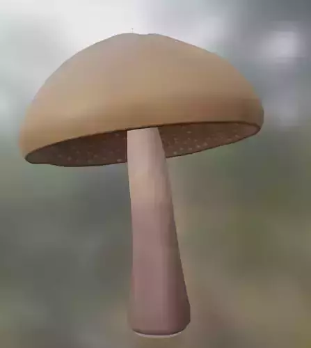 Mushroom in forest
