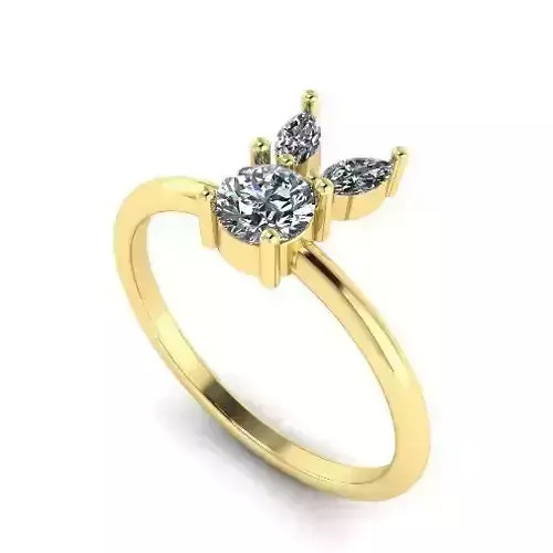 729 Ring 3D print model