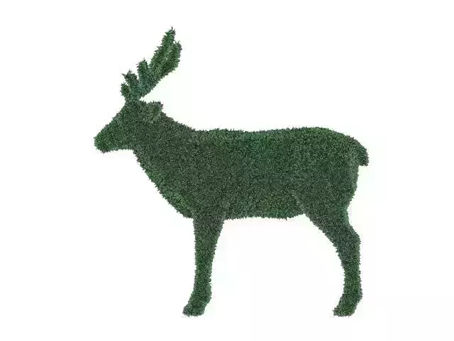 Deer in plant