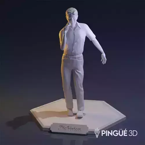Pichirica - Singer who performed with Fabian Show - Argentina  3D print model