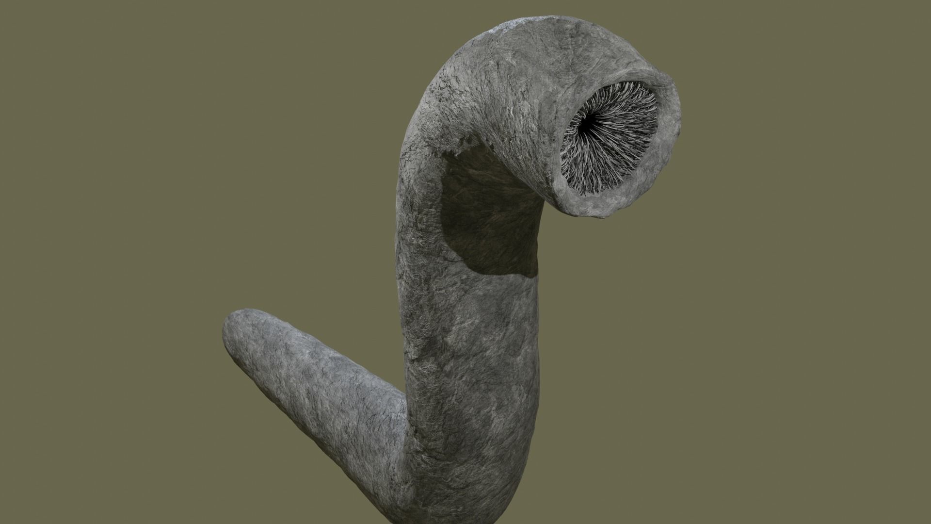 Sandworm From Dune Rigged Sci-fi Character Low-poly 3D model_6