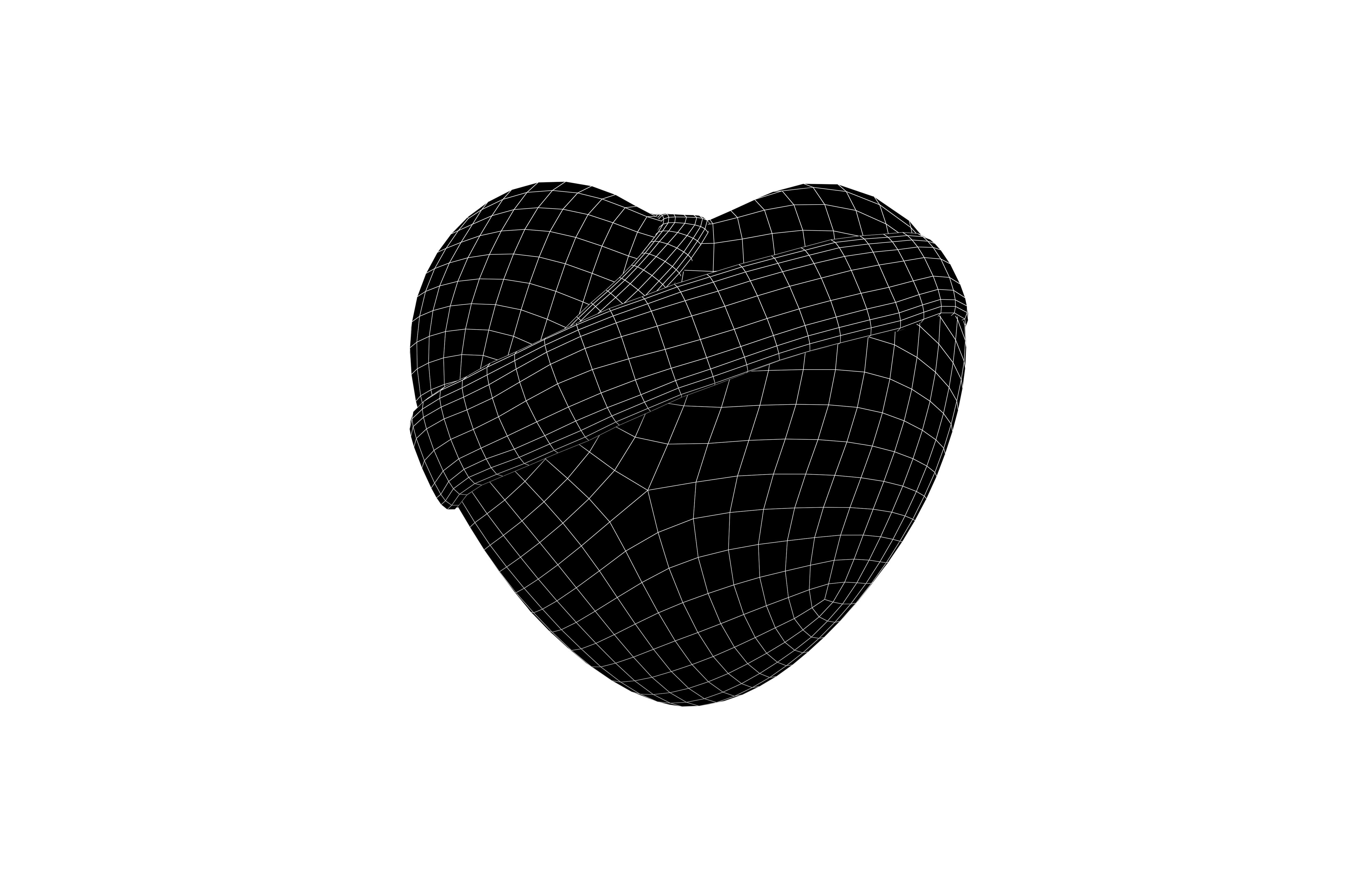 Mending Heart v1 005 Low-poly 3D model_6