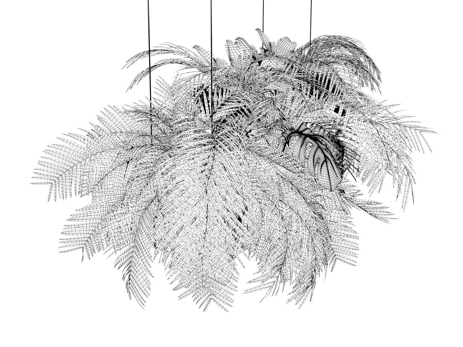 Hanging Plants 03 3D model_4