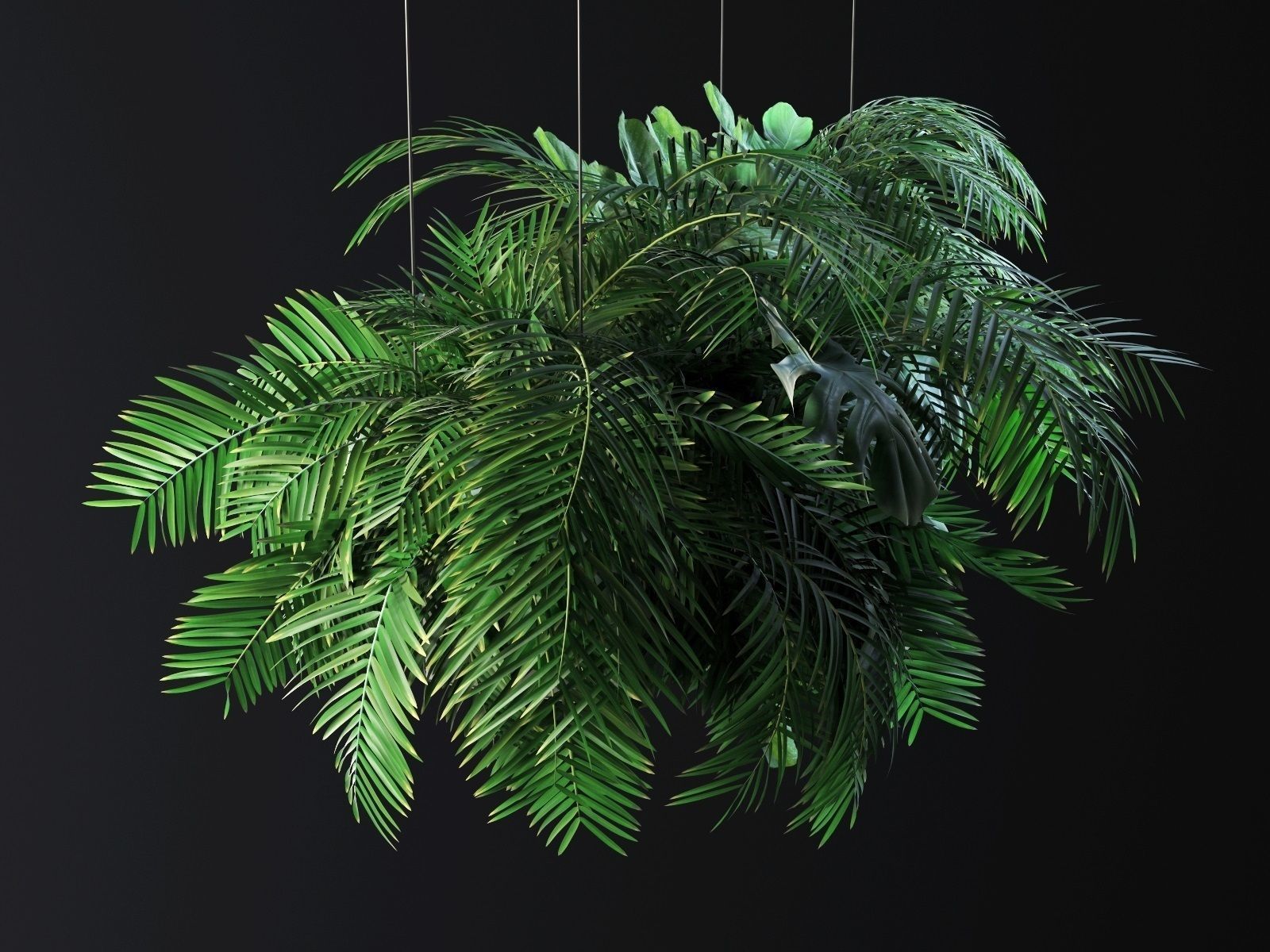 Hanging Plants 03 3D model_1