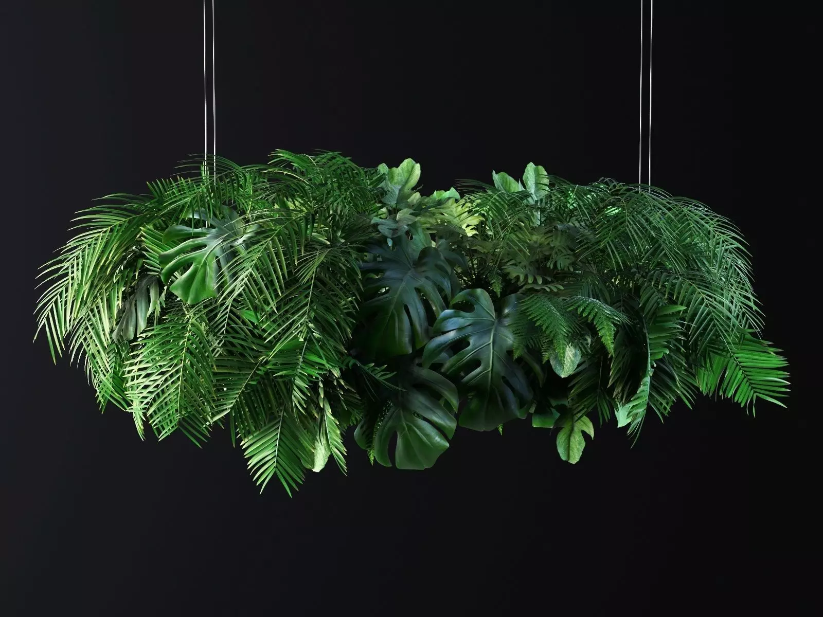 Hanging Plants 03 3D model_0