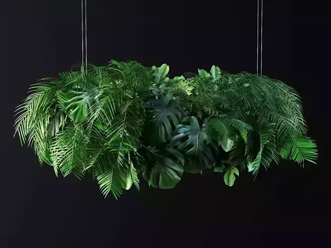 Hanging Plants 03
