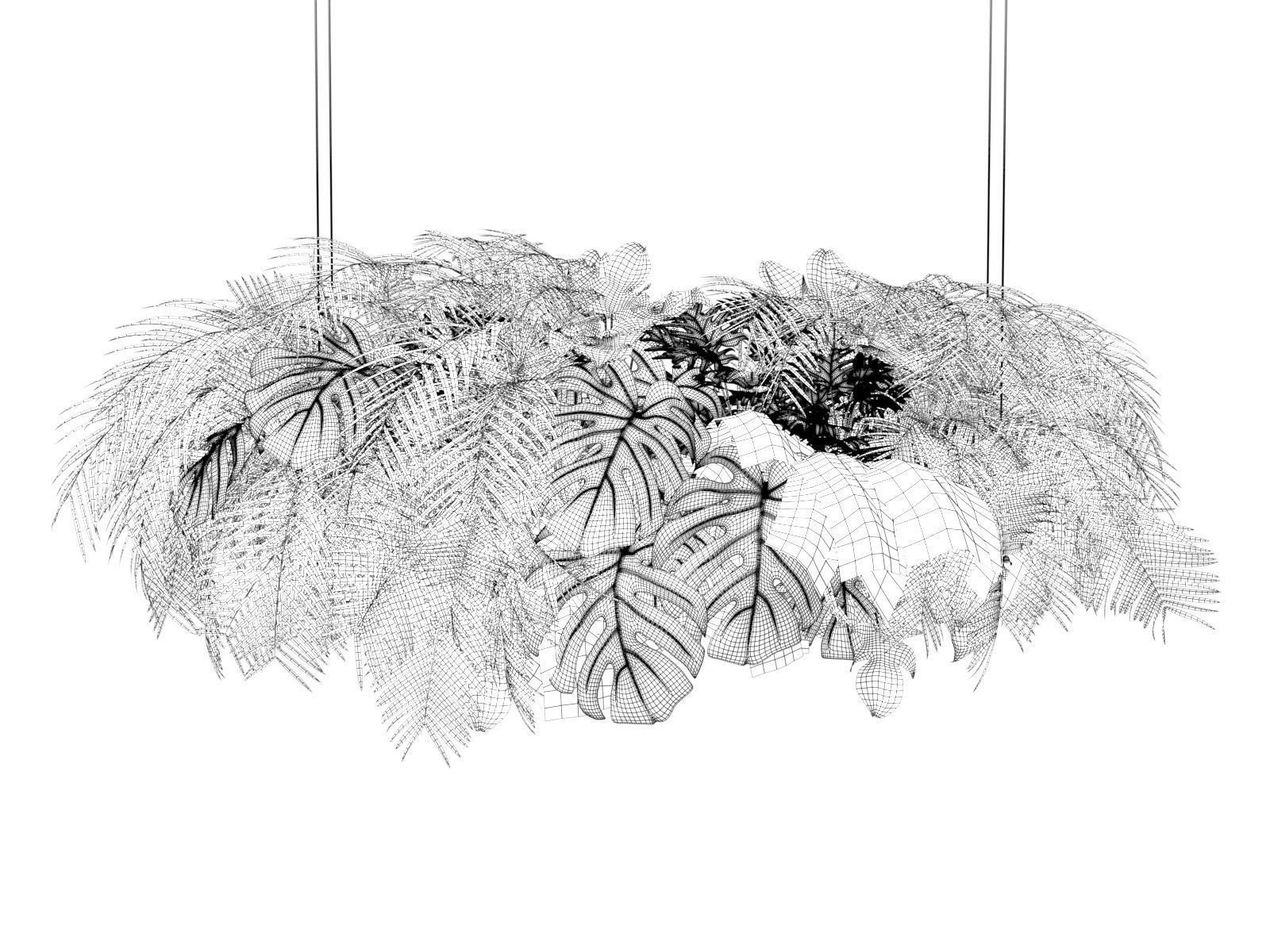 Hanging Plants 03 3D model_3