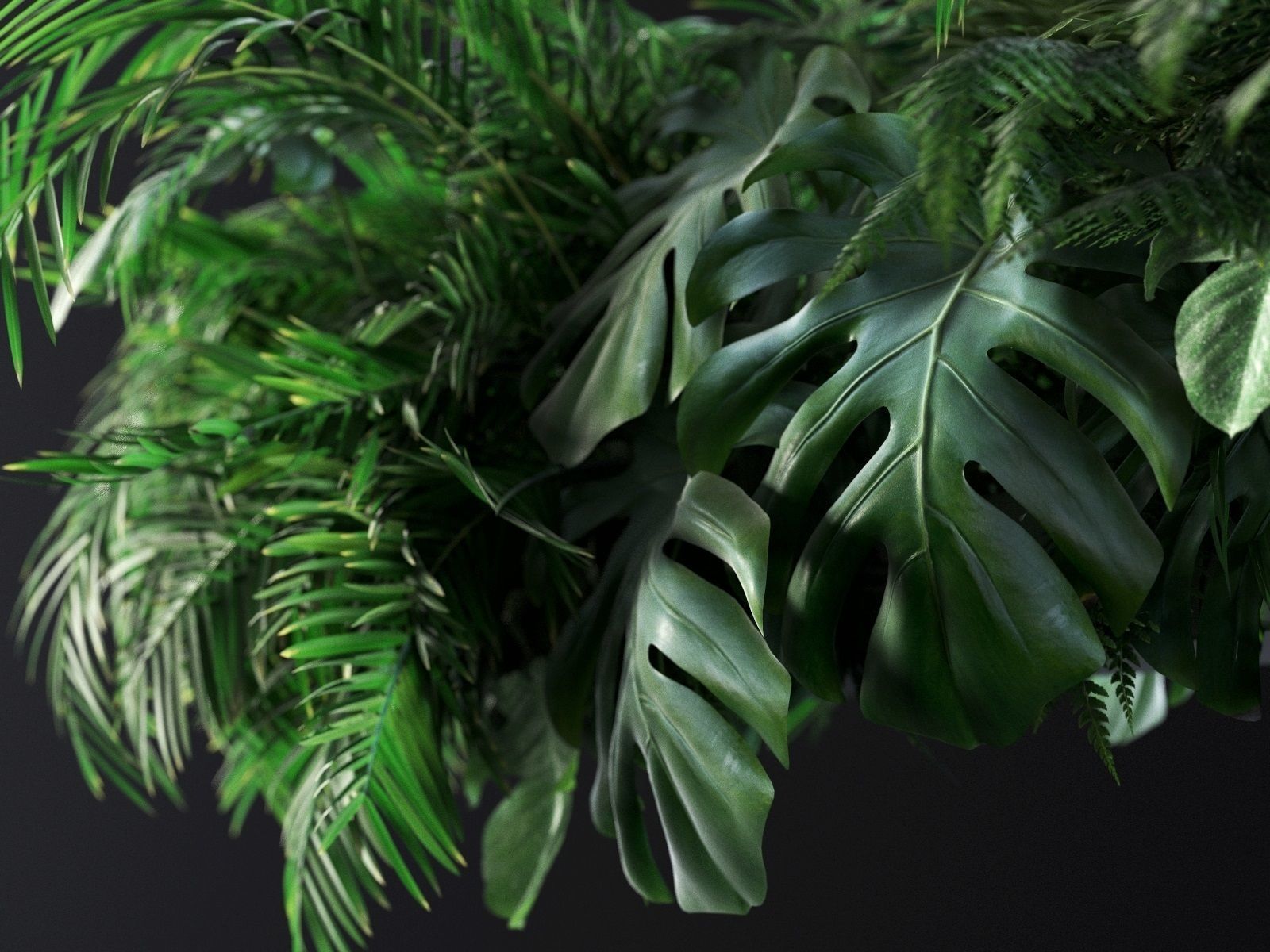 Hanging Plants 03 3D model_2