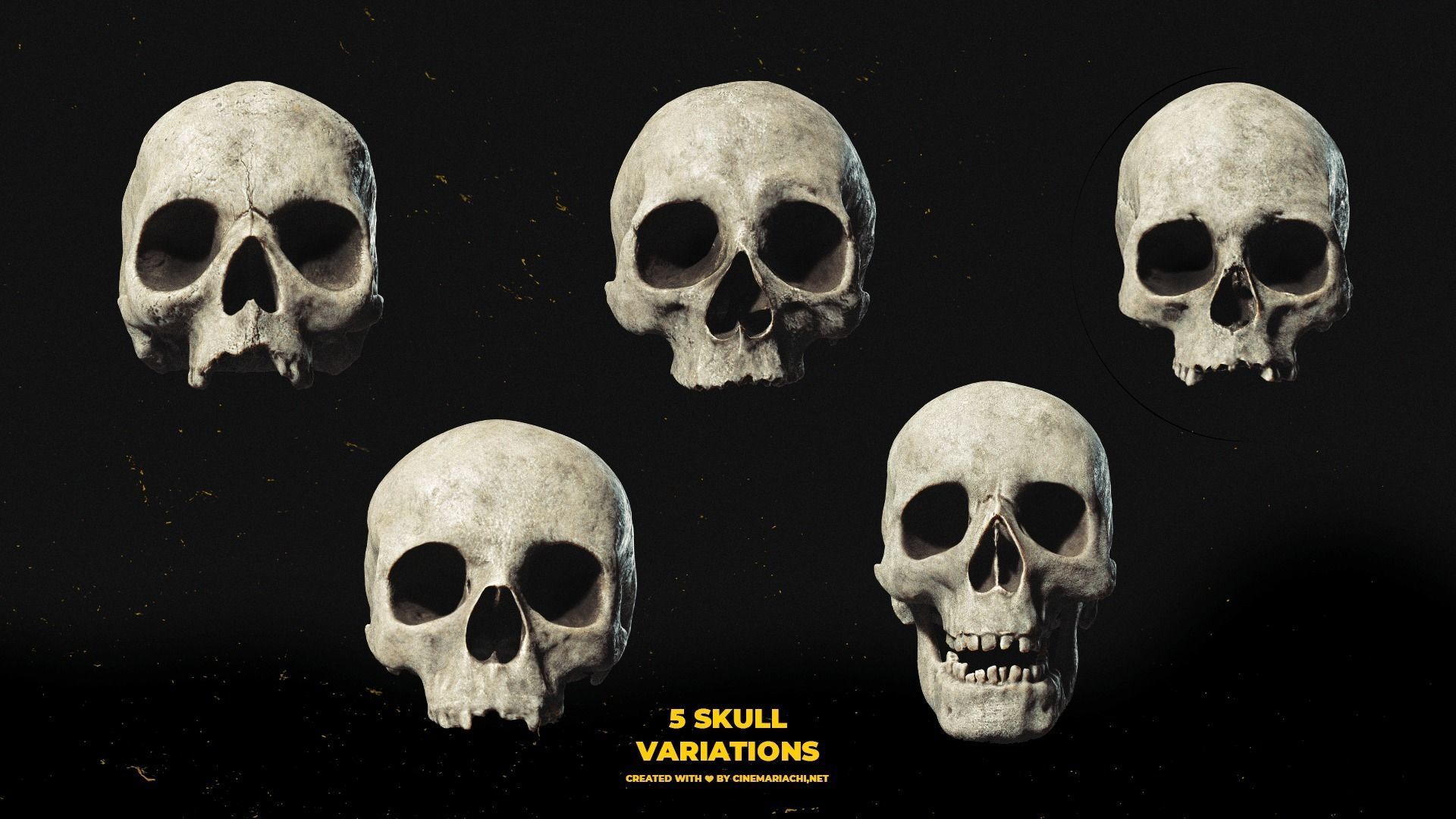 Ultimate Human Skull Pack 3D model_2