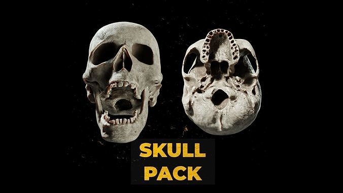 Ultimate Human Skull Pack 3D model