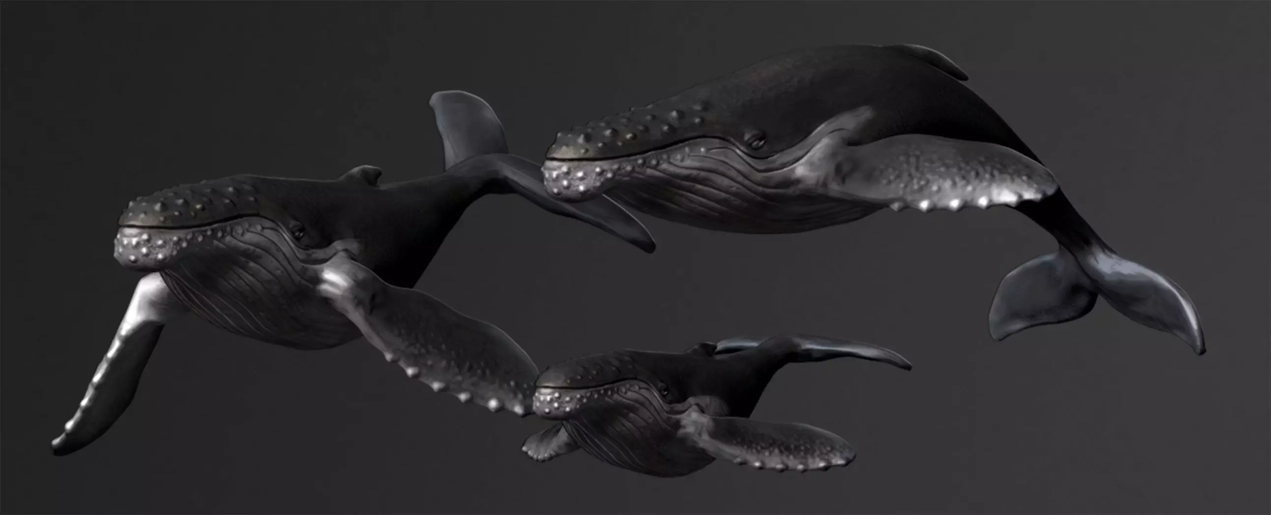 Humpback Whale Statue 3D print model