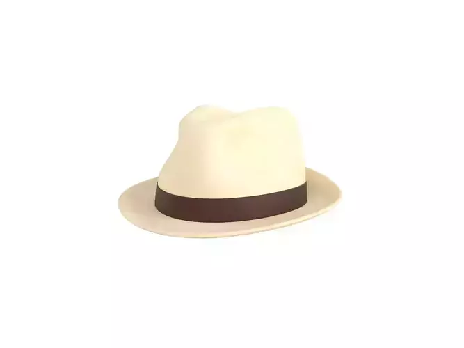 White Fedora Hat