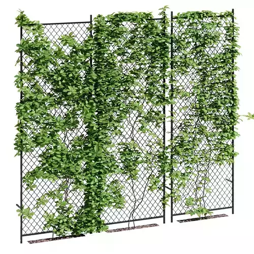 ivy wall four 3D model
