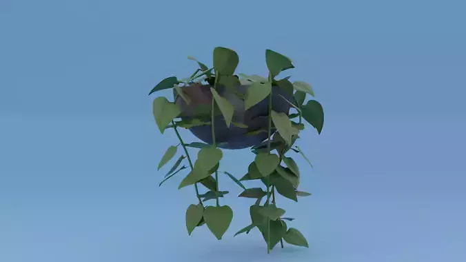 plants ivy plant in pot Low-poly 3D model