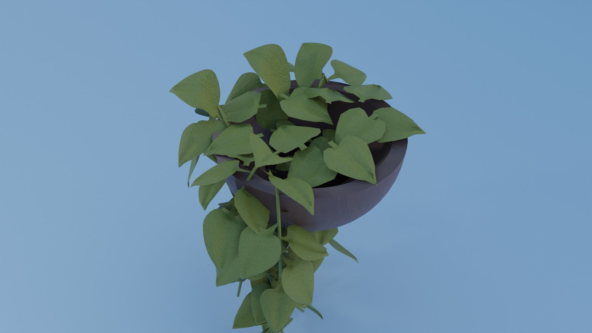 plants ivy plant in pot Low-poly 3D model_1