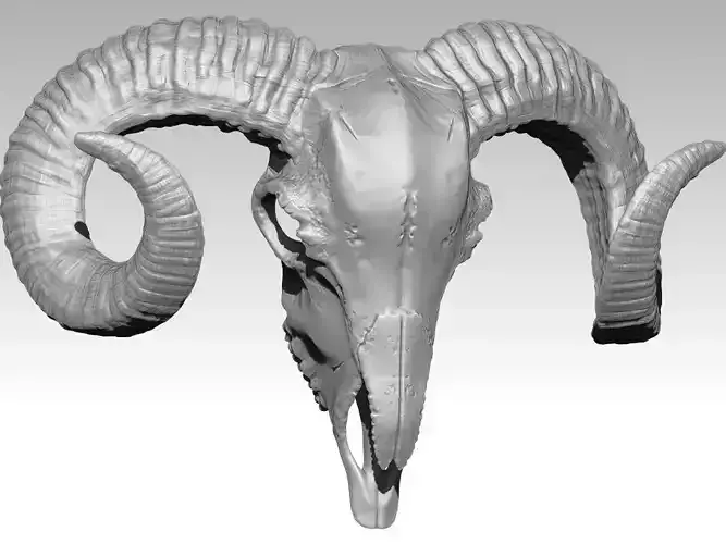 print file ram skull