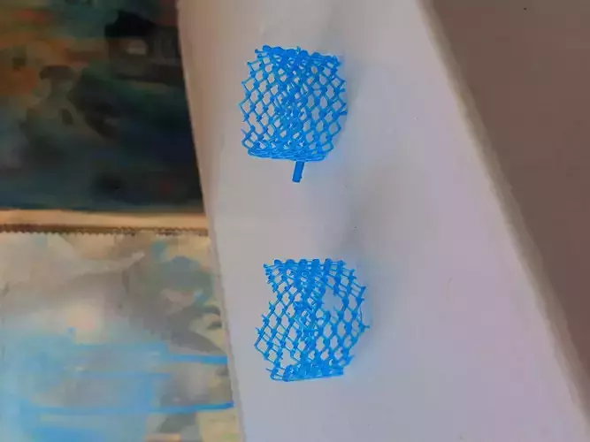 Deleted model two plastic meshes