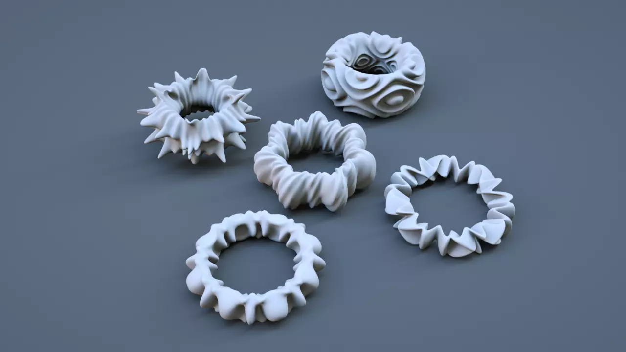 Organic Torus Set 3D print model_0