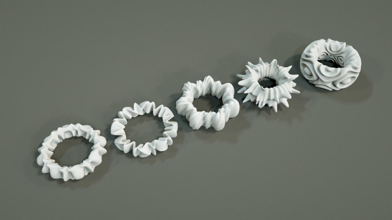 Organic Torus Set 3D print model_1
