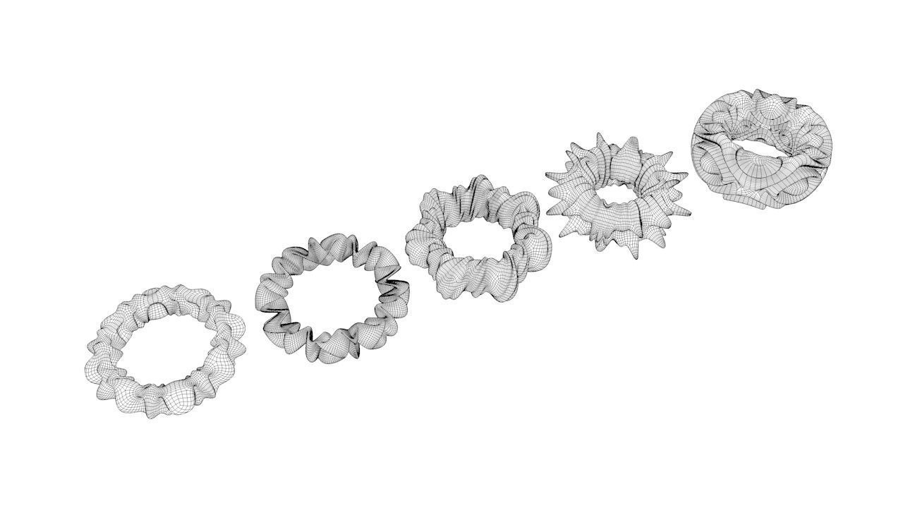 Organic Torus Set 3D print model_3